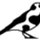 Cowbird icon