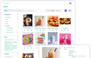 Easily find, distribute and reuse assets in campaigns with DAM thanks to tagging, metatags and content referencing.
