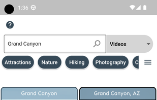 The video search screen.