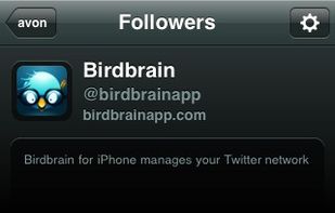 Birdbrain screenshot 1