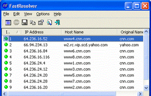 FastResolver screenshot 1