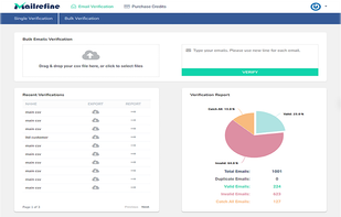 Bulk Email Verification