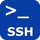 Persistent SSH icon