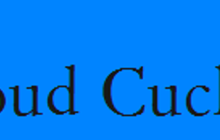 TheRTMInColor screenshot 1