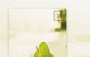 Trasa ~ Free your mind... screenshot 3