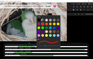 VideoMarkup screenshot 1