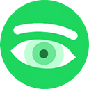 Spytify icon