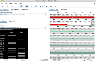 Open Vector Editor Electron screenshot 2