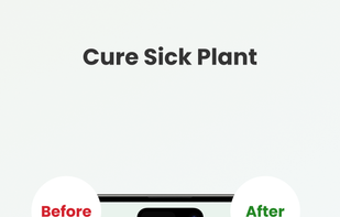 Plant Problem Diagnosis screenshot 1