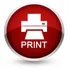 Mobi Print & Scan icon