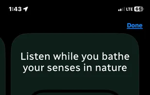 Treequility screenshot 3