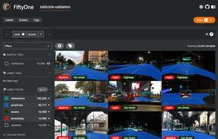 FiftyOne screenshot 1