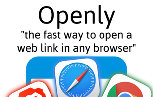 Openly in a Link screenshot 2