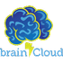 brainCloud icon