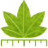 Digimizer icon