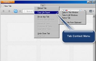Copy Urls Expert screenshot 3
