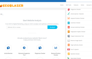 SEOBLAZER screenshot 1