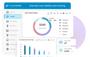 Granular cost visibility