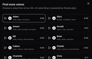 Choose voiceover styles from over 45 different voice styles.