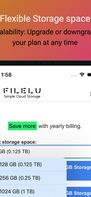 Filelu screenshot 1