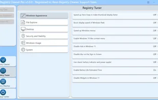 Revo Registry Cleaner screenshot 3