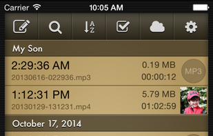 Voice Record Pro screenshot 2