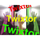 Twixtor icon