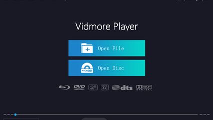 Vidmore Player screenshot 1