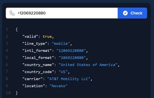 NumlookupAPI screenshot 1