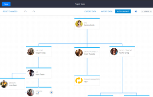 Team Structures and Diagrams