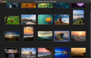 LeafView screenshot 1