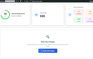 Alt Audit screenshot 1