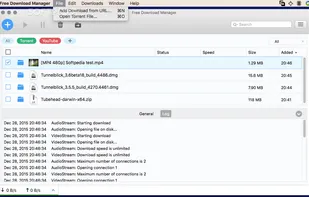 Free Download Manager screenshot 1