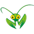 Mantis Bug Tracker icon