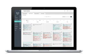 Schedule project milestones, meetings and actions in an easy to manage calendar view.