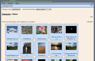 Categories