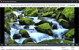 Secret Video Downloader screenshot 1