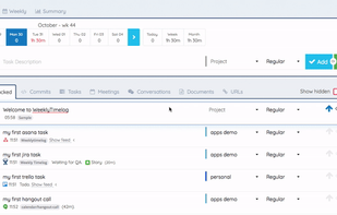 Weekly Timelog screenshot 1