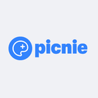 Picnie icon