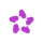 AskNicely icon