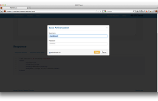 HTTP Basic Authorization