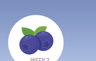 NineishMonths screenshot 1