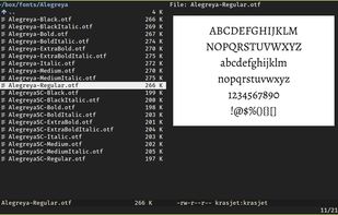 This can be used with überzug to implement font preview within terminal file managers such as vifm.