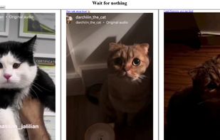 User page for "Wait for nothing".
Instance: koub.bloat.cat