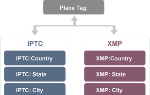 Automatically syncing tags with Metadata (XMP, IPTC, MWG)