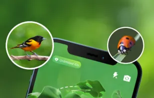 PlantAD Plant Identification screenshot 1