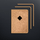 Passport Index icon