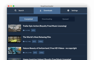 SnapDownloader screenshot 1