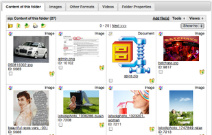 Showing contents of online folder