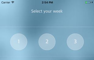 Project 6 Pack - Paleo Diet Plan – 60 recipes screenshot 2